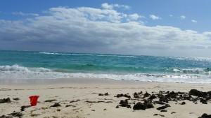 20160419_070708_resized