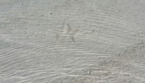 20160422_073119_resized