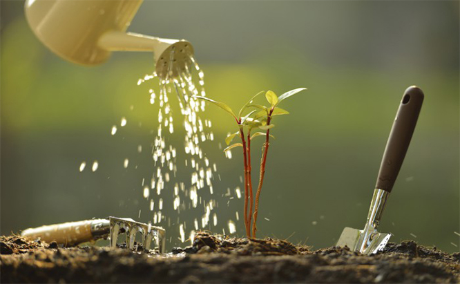 Lead Nurturing: Using Email Marketing For Good
